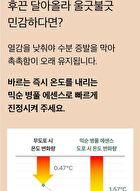 mixsoon Essence Mini - 3 Types - Bifida Ferment