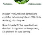 mixsoon Premium Centella Asiatica Serum - 50ml