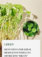 mixsoon Centella Toner Pad - 2025 Version - 120 pads