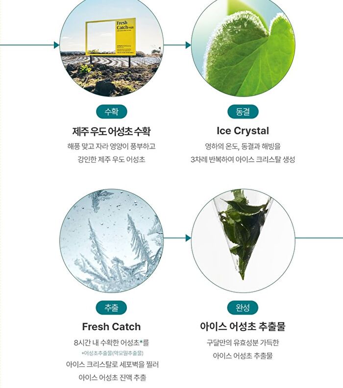 Ice Heartleaf Hyaluron Soothing Clear Pad - 2024 Version - 70 pads
