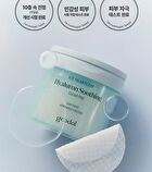Ice Heartleaf Hyaluron Soothing Clear Pad - 2024 Version - 70 pads