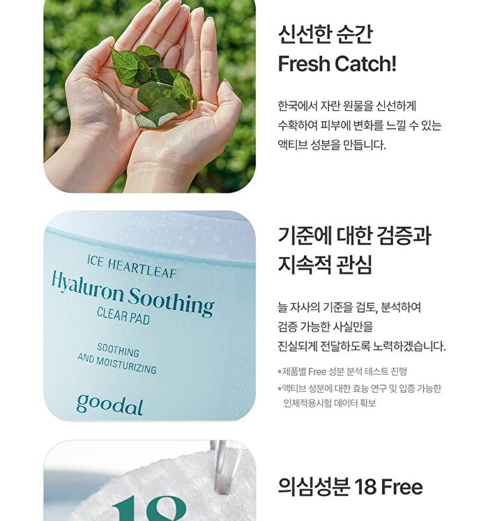 Ice Heartleaf Hyaluron Soothing Clear Pad - 2024 Version - 70 pads