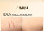 Imagic 12 Colours Concealer Palette - 12 Colours Palette - 19.5g
