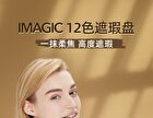 Imagic 12 Colours Concealer Palette - 12 Colours Palette - 19.5g
