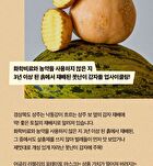 Ugly Lovely Potato Mask - 23ml