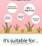 Fucoidan Veg Capsule - 60 capsules