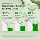 Fully Green Tomato Clay Mask Cleanser - 120ml