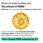 Vt PDRN Essence 100 - 30ml