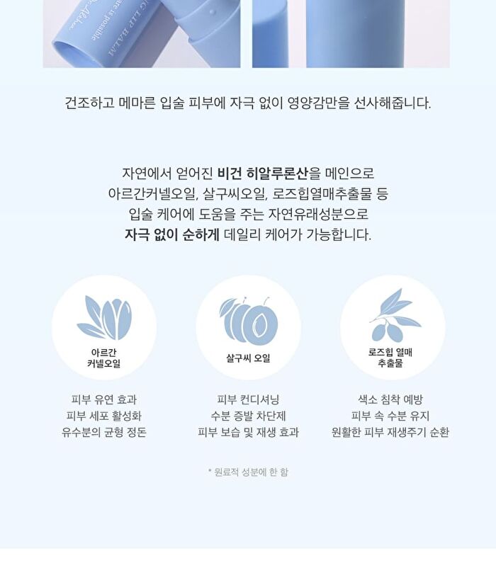 Soft Melting Lip Balm - 2024 Version - 4.1g