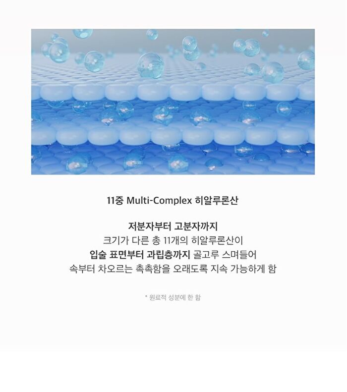 Soft Melting Lip Balm - 2024 Version - 4.1g
