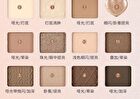 Jill Leen Multi Eyeshadow Palette - Misty Brown Plate - #03 Misty Brown Plate