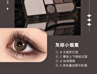Dark Night Butterfly Eyeshadow Palette - 4 Types - 102# Butterflies Night Elvest - 7.05g