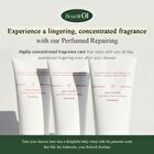 Free Moment Refresh Moment Perfume Treatment - 2 Types - #02 Fig Fog