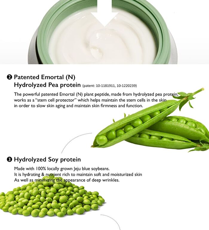 haruharu wonder Centella Phyto & 5 Peptide Concentrate Cream Refill Only - 30ml