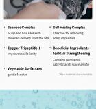 Growus Recover Therapy Shampoo - 2 Types - For Man