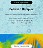 Growus Recover Therapy Shampoo - 2 Types - For Man
