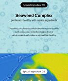 Growus Sea Salt Therapy Scalp Scaler - 120g