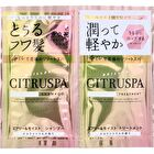 CITRUSPA Airy & Moist Shampoo & Treatment Trial Set - 10ml x 2