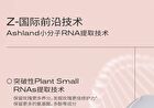 Pmpm Rose Squalane Soothing Repair Essence Oil - 30ml