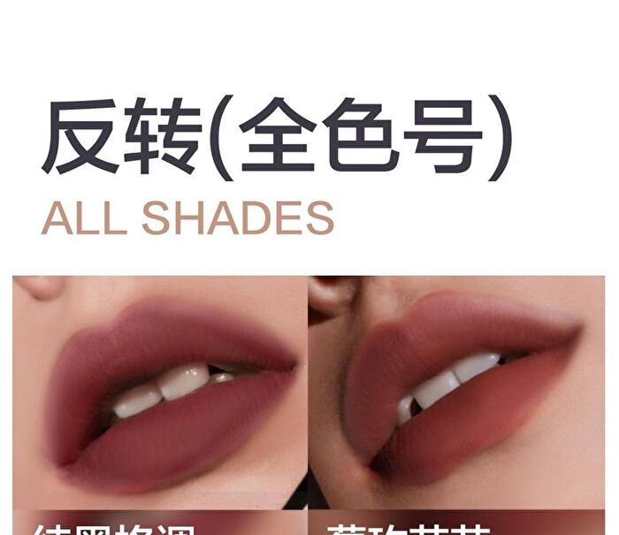 Hyntoor Reverse Macaron Lip Glaze - 6 Colors - Naked Coffee - 3.2g