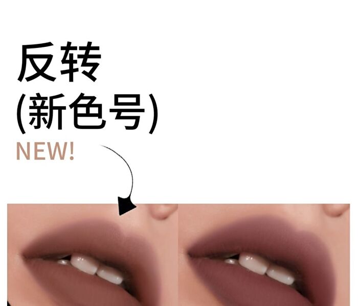 Hyntoor Dark Style Reverse Macaron Lip Mud - 4 Colors - Confused Berry - 3.2g