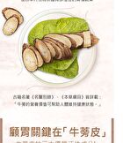 Burdock Root Veg Capsule - 60 capsules
