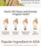Burdock Root Veg Capsule - 60 capsules