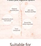 Burdock Root Veg Capsule - 60 capsules