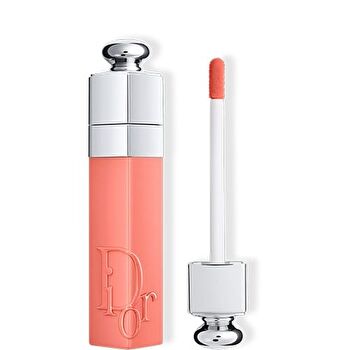 Addict Lip Tint - 491 Natural Rosewood