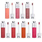 Addict Lip Tint - 491 Natural Rosewood