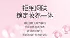 Veecci Oil Controlling Mist Soft Focus Setting Powder - 01# Purple - 6.5g