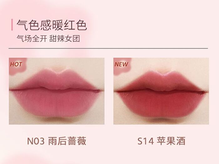 Romantic Beauty Spring & Summer Cream Lip Mud - 8 Colors - #S17 Red Bean - 3g