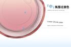Romantic Beauty Gradient Blusher - #F26 - #F28 - #F24 Milk Peach - 5g