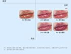 Romantic Beauty Hydrating & Plumping Lip Gloss - 8 Colors - #03 Peach Bean - 1.8g