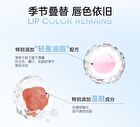 Romantic Beauty Hydrating & Plumping Lip Gloss - 8 Colors - #03 Peach Bean - 1.8g