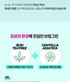 Tea Tree Cica Fresh Sun Cream - 2024 Version - 50ml