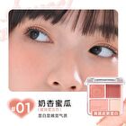 4 Color Blush & Highlight Palette (1-3) - #02 Soft Peach - 9g
