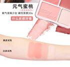 4 Color Blush & Highlight Palette (1-3) - #03 Ballerina Dream - 9g