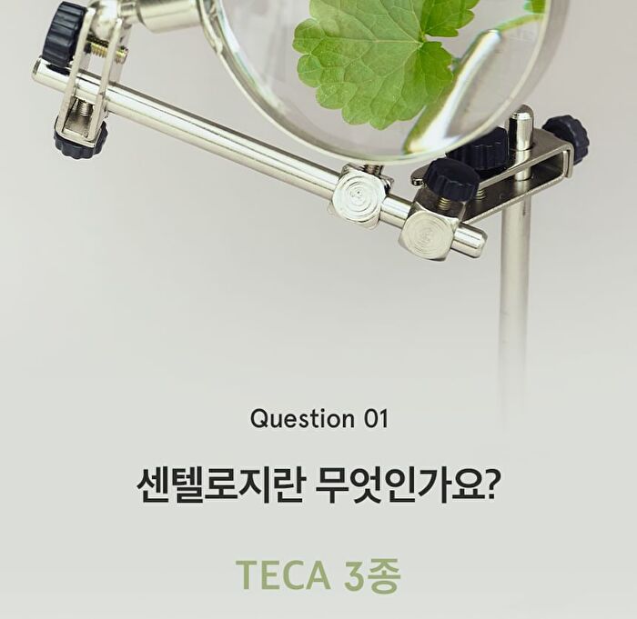 Cica Ceramide Toner - 250ml