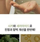Cica Ceramide Toner - 250ml