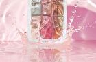 Colorrose Water Ripple Series Eyeshadow Palette - 3 Types - CR792 - 9.5g