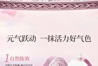 Colorrose Oil Painting Gradient Blusher - 7 Types - CR788 Plum Jam - 4g
