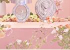 Colorrose Oil Painting Gradient Blusher - 7 Types - CR789 Sugar Champagne - 4g