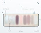 Colorrose Oil Painting Eyeshadow Palette - 2 Types - CR799 Manta Rose - 13g