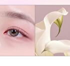 Seasonal Blending Eyeshadow Palette - 6 Types - #06 Peach Yogurt