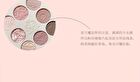 Cheerflor Farley Garden Magic Circle Embossed Eyeshadow - CFR970 Forest Moss - CFR970 Forest Moss - 6.8g
