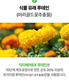 Dr.Bear+ EX Lutein - 300mg x 30 capsules