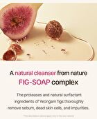 I\'m from Fig Foam Cleanser - 2024 Version - 150ml