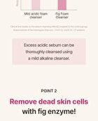 I\'m from Fig Foam Cleanser - 2024 Version - 150ml
