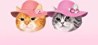 Crystal Glam Tint Luxury Koshort Special Edition - 4 Colors - #15 Grooming Peach Opal
